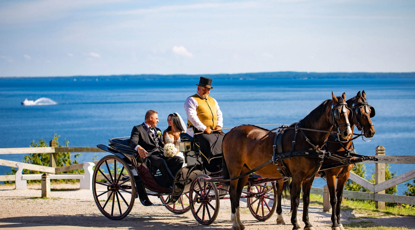A newly married couple in a horse-drawn carriage