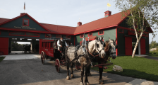 Horse drawn carriage at the stables